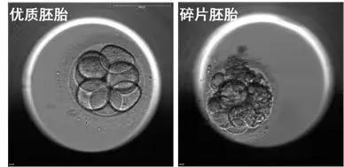 微信图片_20231024154904.jpg