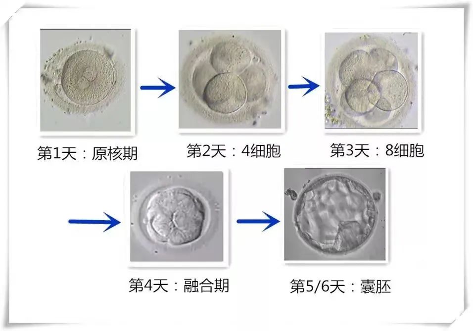 微信图片_20221222093948.jpg